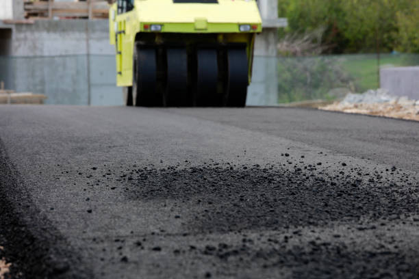 Best Driveway Pavers Contractor  in Boles Acres, NM