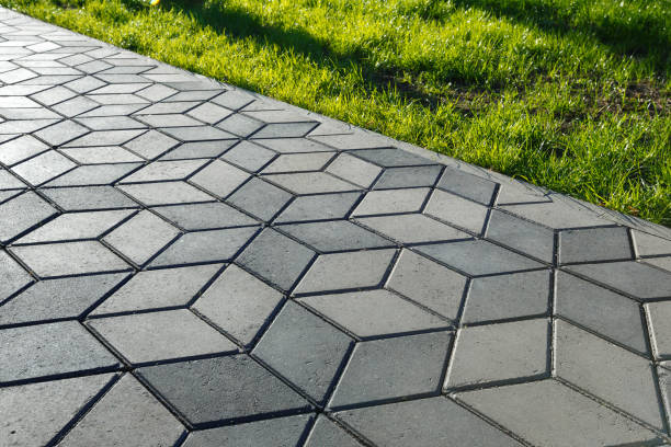Best Driveway Pavers Near Me  in Boles Acres, NM