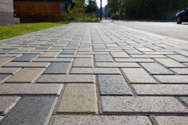 Best Driveway Pavers Near Me  in Boles Acres, NM