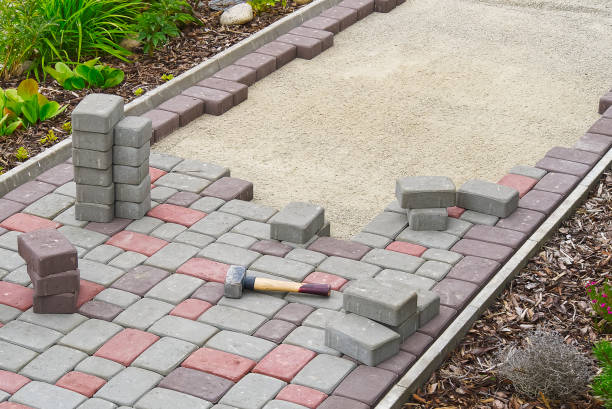 Best Driveway Paving Contractor  in Boles Acres, NM