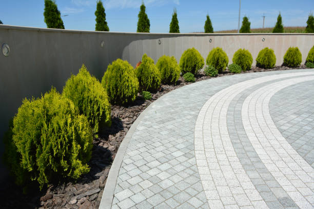 Reasons to Select Us for Your Driveway Paving Requirements in Boles Acres, NM
